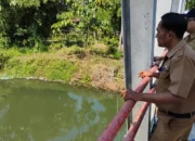 Trenggalek