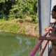 Trenggalek