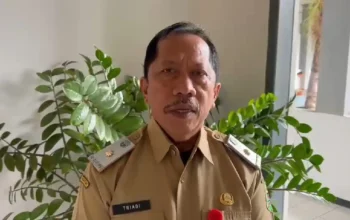 Trenggalek