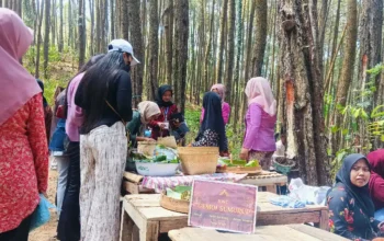 Unik Pasar Jadul Pangupo Jiwo Trenggalek, Belanja Pakai Koin Khusus di Tengah Hutan Pinus
