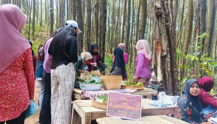 Unik Pasar Jadul Pangupo Jiwo Trenggalek, Belanja Pakai Koin Khusus di Tengah Hutan Pinus