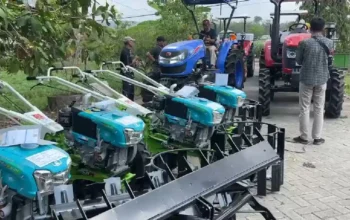 Trenggalek