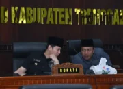 Trenggalek